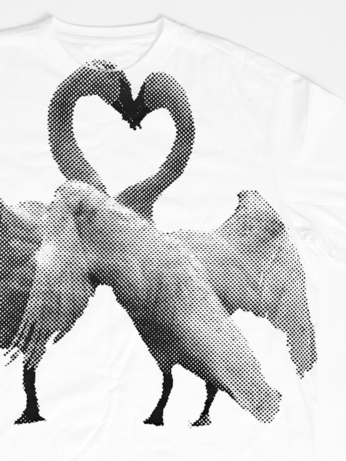 cisnes tee
